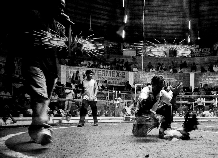 http://mail.peterodriscollphotography.com/files/gimgs/14_34505433896fe779d235o.jpg