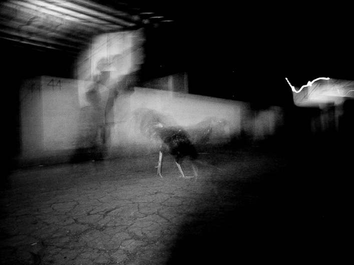 http://mail.peterodriscollphotography.com/files/gimgs/14_34513059402af7a7c7e2o.jpg