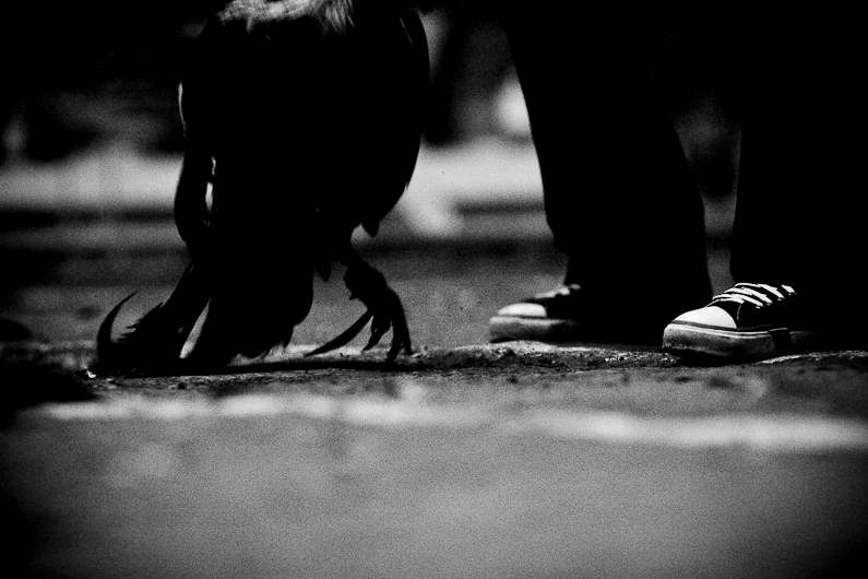 http://mail.peterodriscollphotography.com/files/gimgs/14_3451336920faa312f12co.jpg