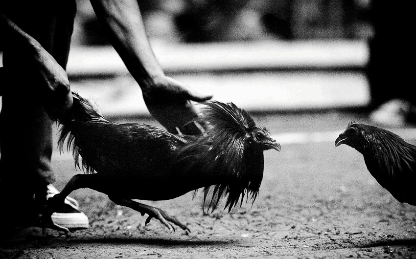 http://mail.peterodriscollphotography.com/files/gimgs/14_345135755022ed45ca03o.jpg