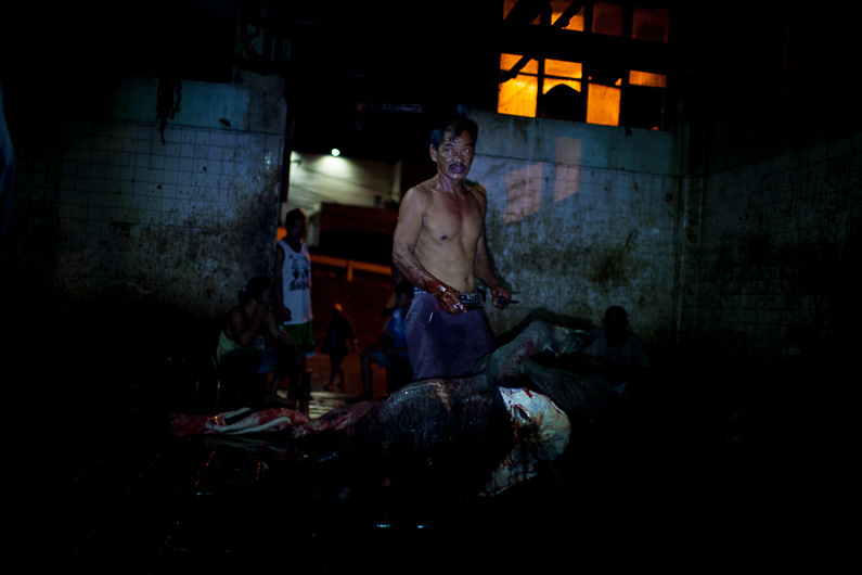 http://mail.peterodriscollphotography.com/files/gimgs/18_lifeblood-19.jpg