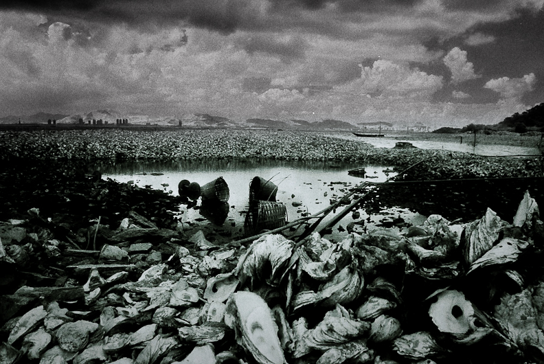 http://mail.peterodriscollphotography.com/files/gimgs/21_china-3.jpg