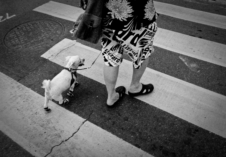 http://mail.peterodriscollphotography.com/files/gimgs/22_r0015965.jpg