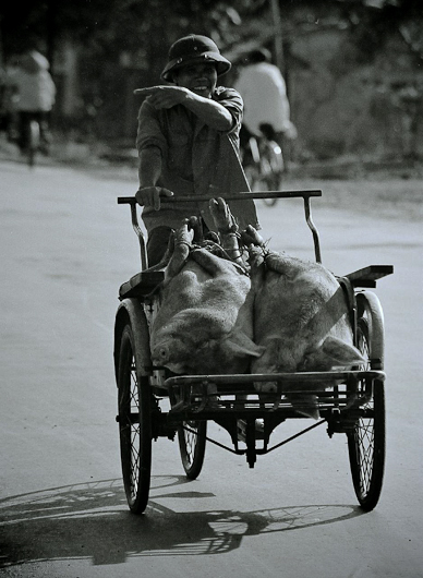 http://mail.peterodriscollphotography.com/files/gimgs/28_2321497103e499b1d377o.jpg