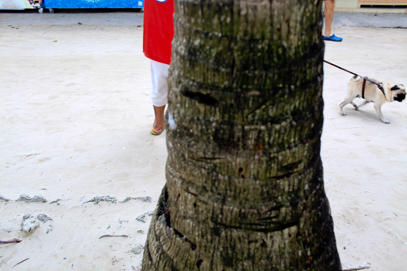 http://mail.peterodriscollphotography.com/files/gimgs/37_bora2012-4.jpg