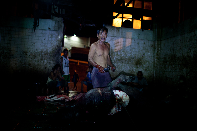 http://mail.peterodriscollphotography.com/files/gimgs/40_life-blood-2-small.jpg