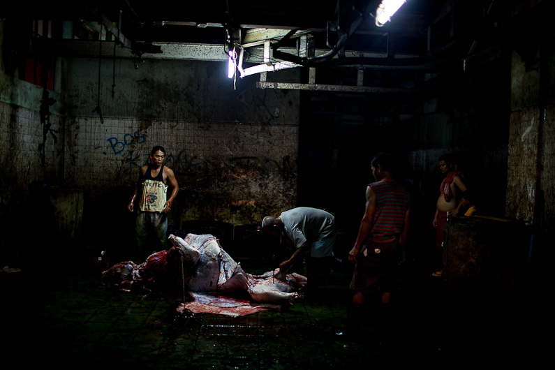 http://mail.peterodriscollphotography.com/files/gimgs/40_lifeblood-10.jpg