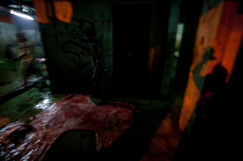 http://mail.peterodriscollphotography.com/files/gimgs/40_lifeblood-13.jpg
