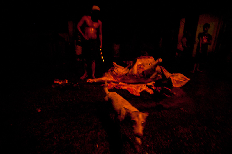 http://mail.peterodriscollphotography.com/files/gimgs/40_lifeblood-14.jpg