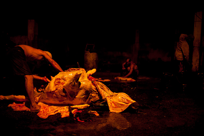 http://mail.peterodriscollphotography.com/files/gimgs/40_lifeblood-15.jpg