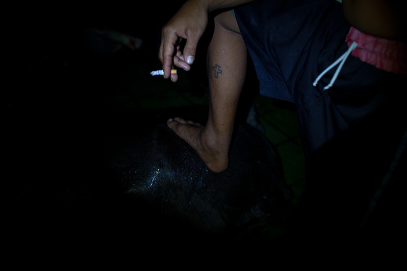 http://mail.peterodriscollphotography.com/files/gimgs/40_lifeblood-18.jpg