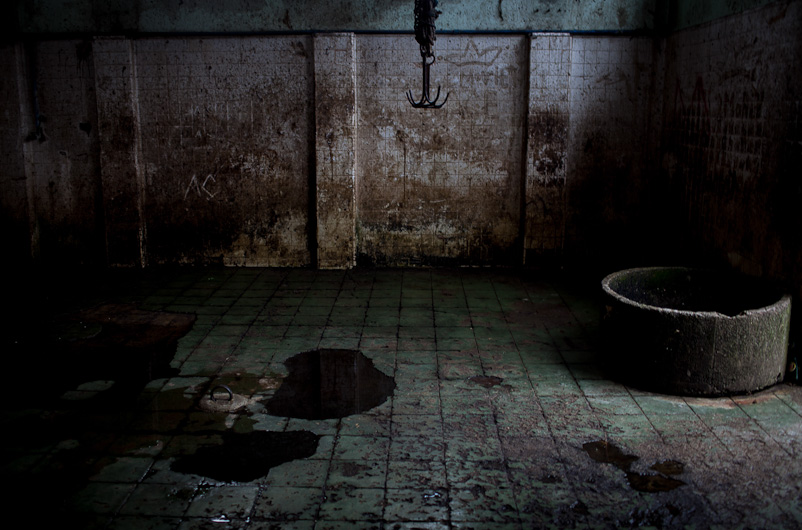 http://mail.peterodriscollphotography.com/files/gimgs/40_lifeblood-2.jpg