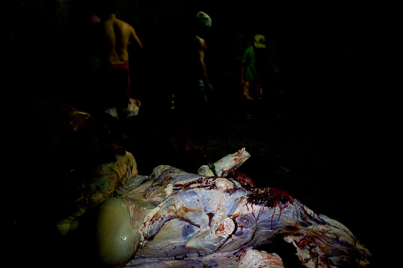 http://mail.peterodriscollphotography.com/files/gimgs/40_lifeblood-20.jpg