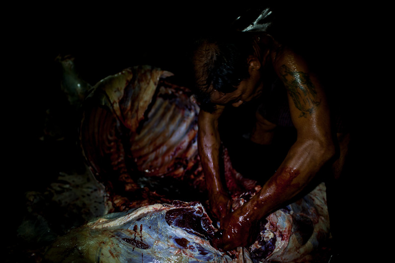 http://mail.peterodriscollphotography.com/files/gimgs/40_lifeblood-21.jpg