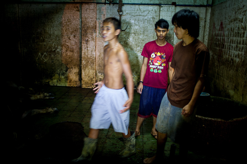 http://mail.peterodriscollphotography.com/files/gimgs/40_lifeblood-27.jpg