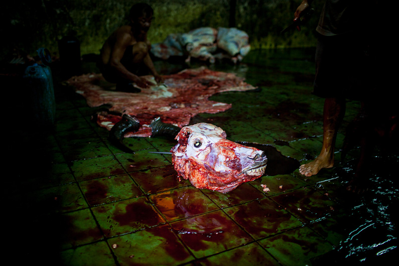 http://mail.peterodriscollphotography.com/files/gimgs/40_lifeblood-28.jpg