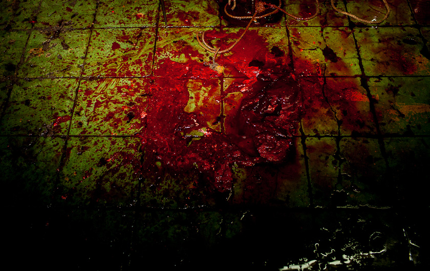 http://mail.peterodriscollphotography.com/files/gimgs/40_lifeblood-9.jpg