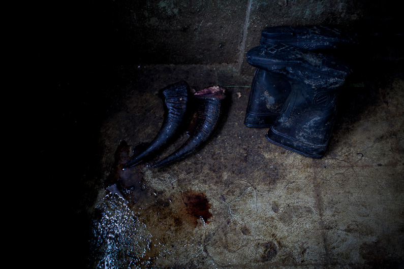 http://mail.peterodriscollphotography.com/files/gimgs/40_lifeblood.jpg